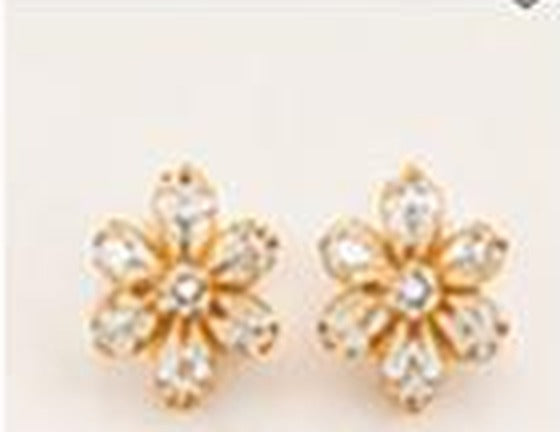 Tassel Drop Earrings